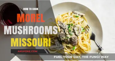 Mastering Morel Mushrooms: A Missouri Guide to Cooking Deliciously