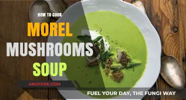 Delicious Morel Mushroom Soup: Easy Recipe for Earthy Comfort