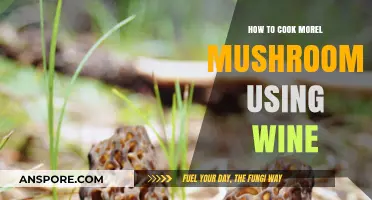 Savor Morel Mushrooms: A Wine-Infused Cooking Guide for Earthy Delights