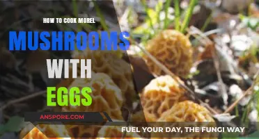 Perfect Morel Mushroom and Egg Breakfast: A Simple, Delicious Recipe