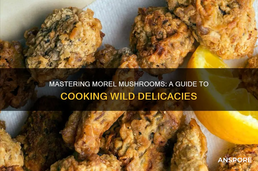 how to cook morels wild mushrooms