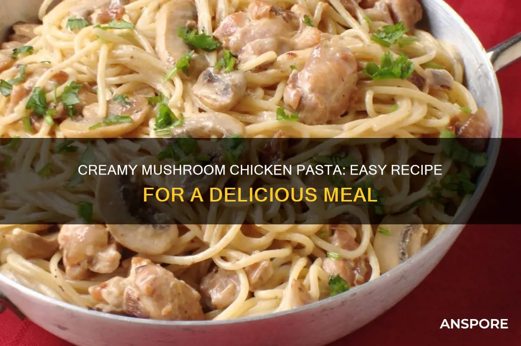 how to cook mushroom chicken pasta
