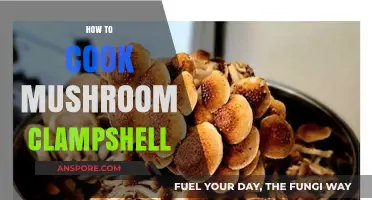 Mastering Mushroom Clamshell Cooking: Easy Steps for Perfect Results