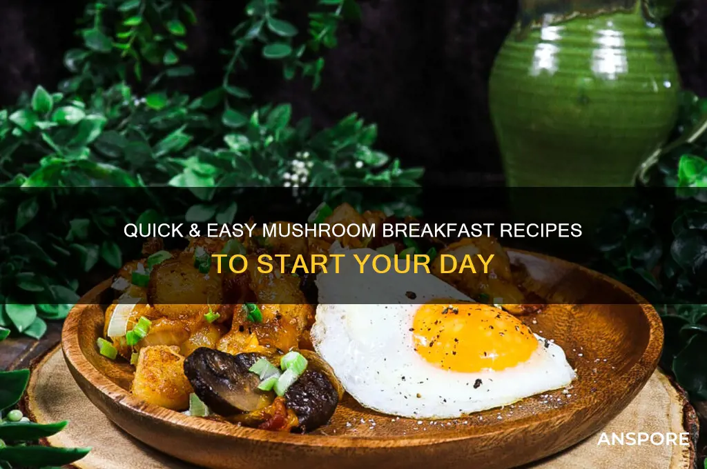 how to cook mushroom for breakfast