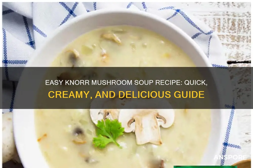 how to cook mushroom soup knorr