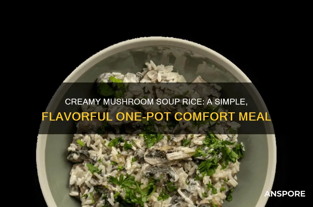 how to cook mushroom soup rice