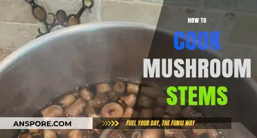 Creative Ways to Cook Mushroom Stems: Tasty Recipes and Tips