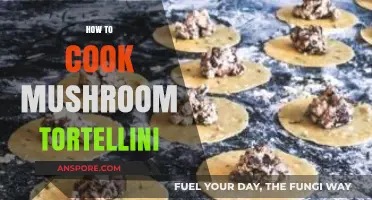 Mastering Mushroom Tortellini: A Step-by-Step Guide to Perfect Homemade Pasta