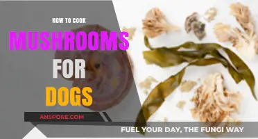 Safe Mushroom Cooking Tips for Dogs: A Healthy Canine Treat Guide