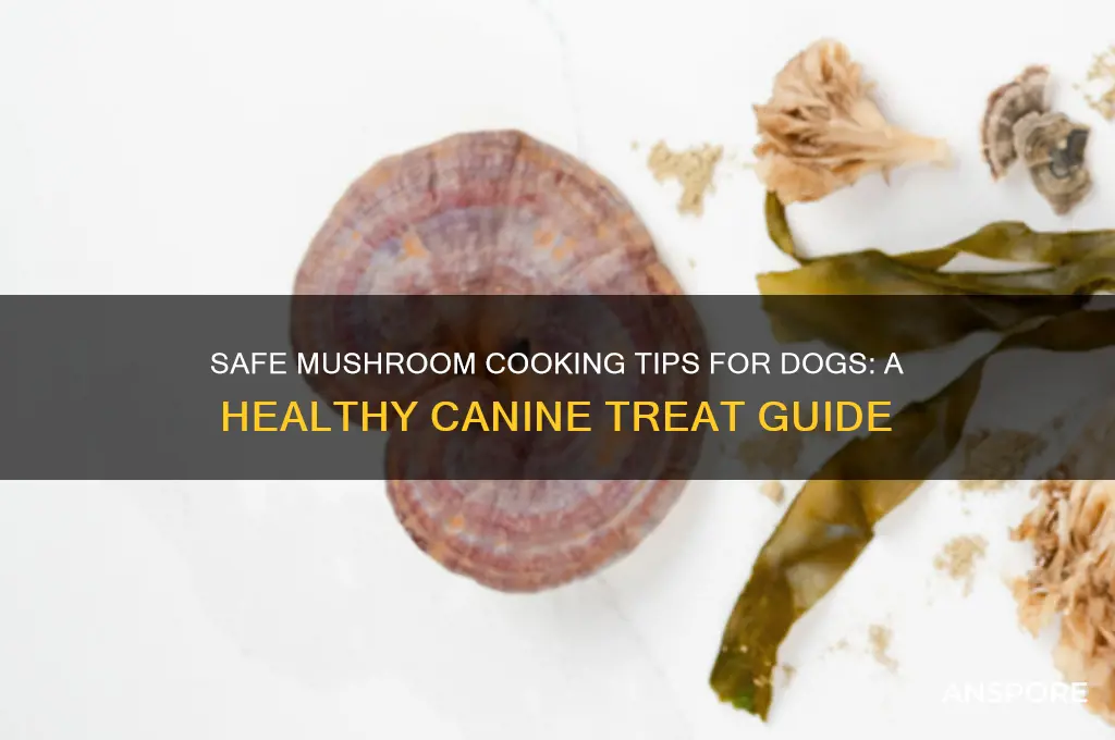 how to cook mushrooms for dogs