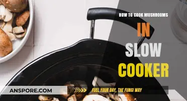 Slow Cooker Mushroom Magic: Easy, Flavorful Recipes for Perfect Mushrooms