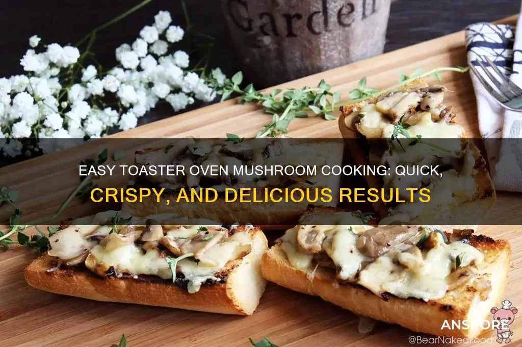 how to cook mushrooms in toaster oven