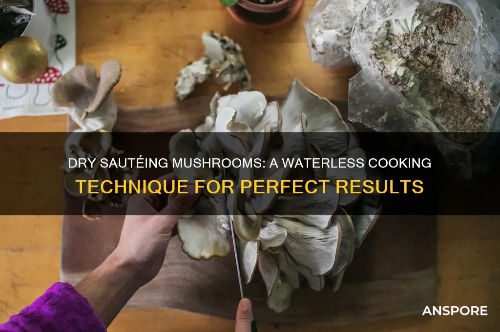 how to cook mushrooms no water