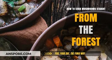 Foraging to Feast: Mastering the Art of Cooking Wild Mushrooms