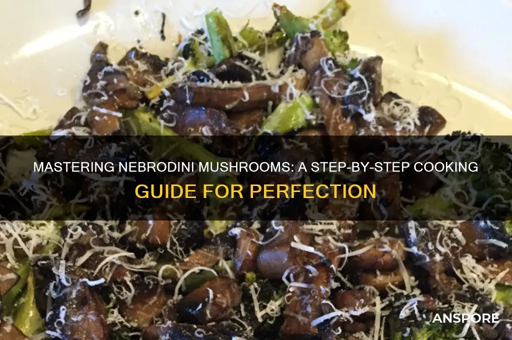 how to cook nebrodini mushroom