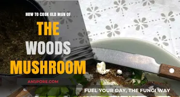 Mastering the Art of Cooking Old Man of the Woods Mushrooms