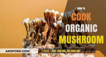 Mastering Organic Mushroom Cooking: Simple Techniques for Delicious Results