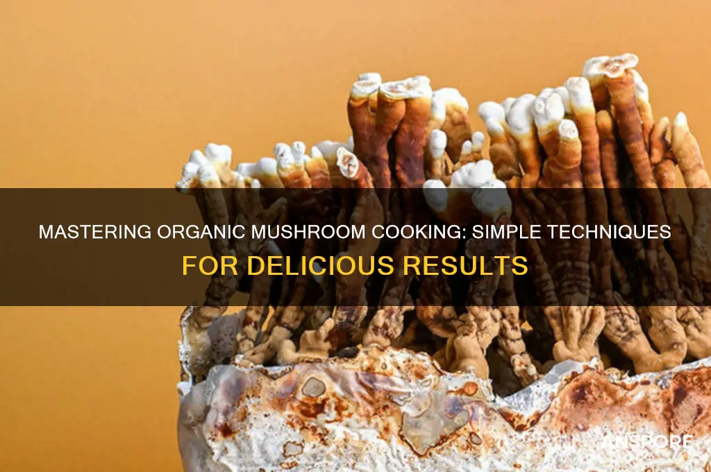 how to cook organic mushroom