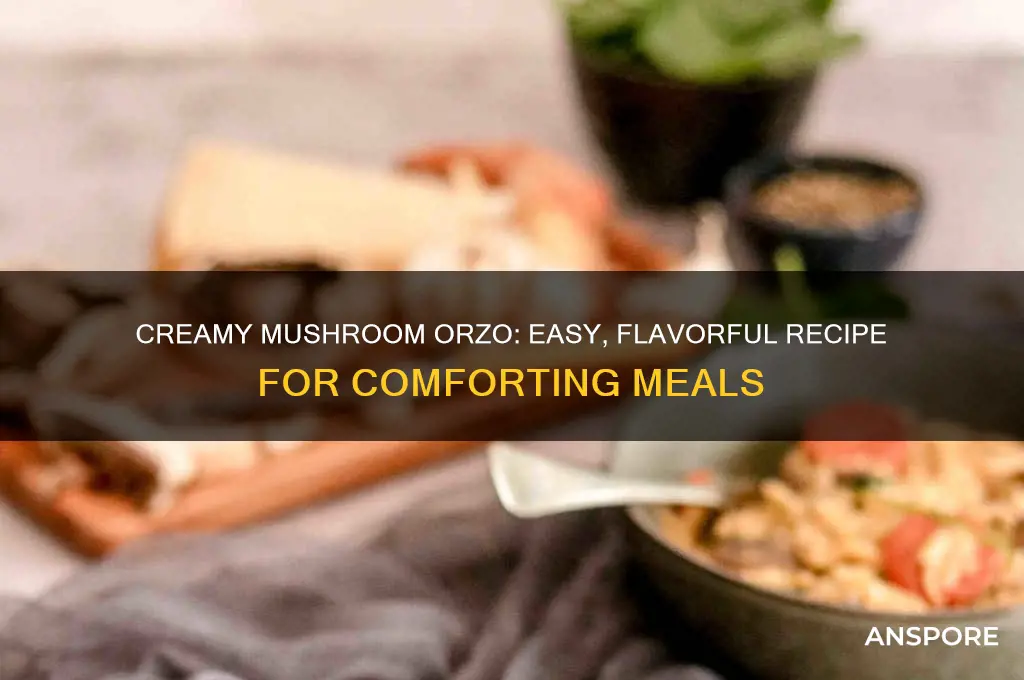 how to cook orzo with mushrooms