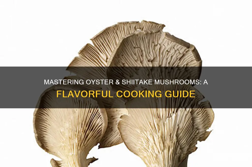 how to cook oyster and shiitake mushrooms