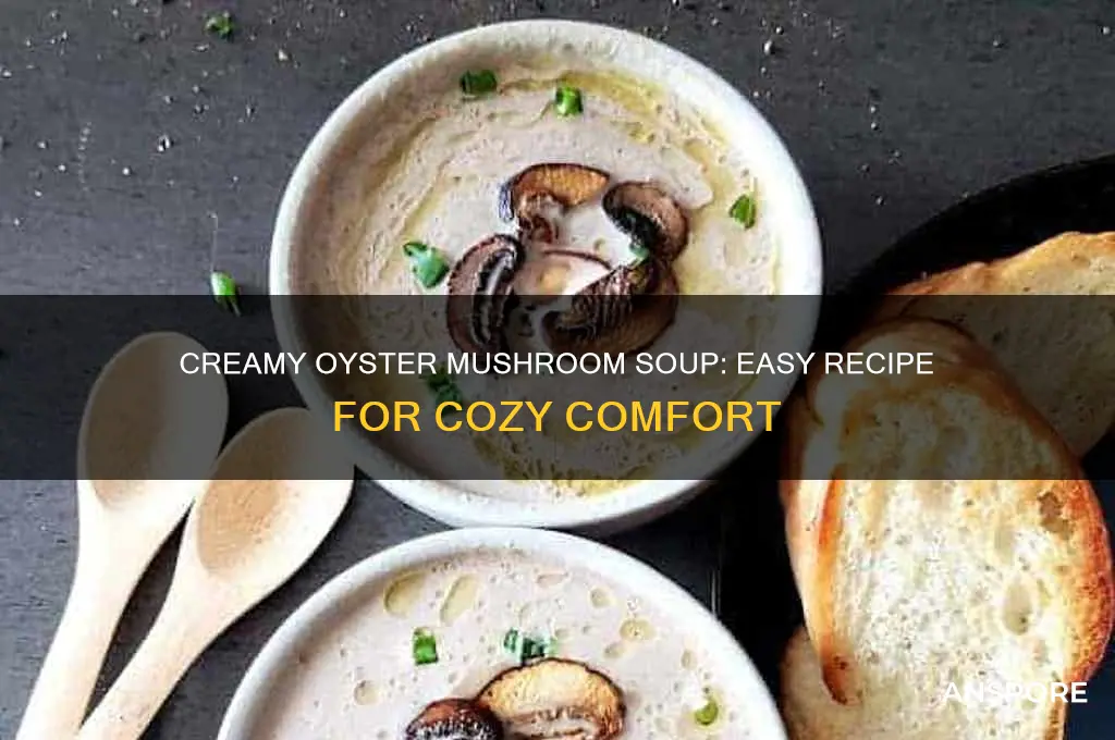 how to cook oyster mushrooms soup