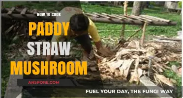 Mastering Paddy Straw Mushroom Cooking: Simple Steps for Delicious Results