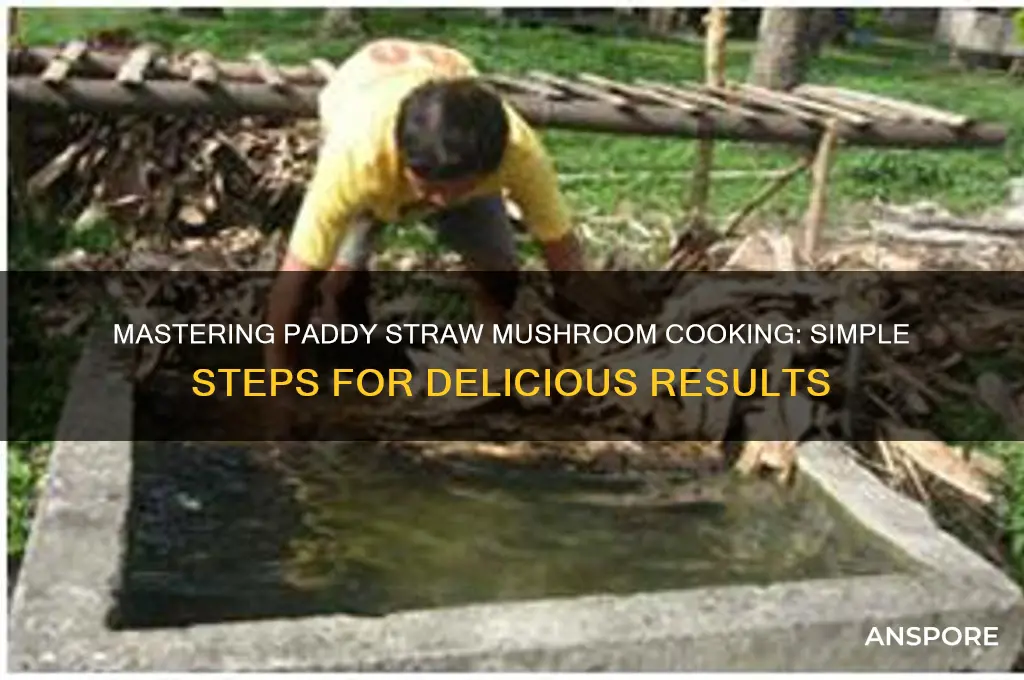 how to cook paddy straw mushroom