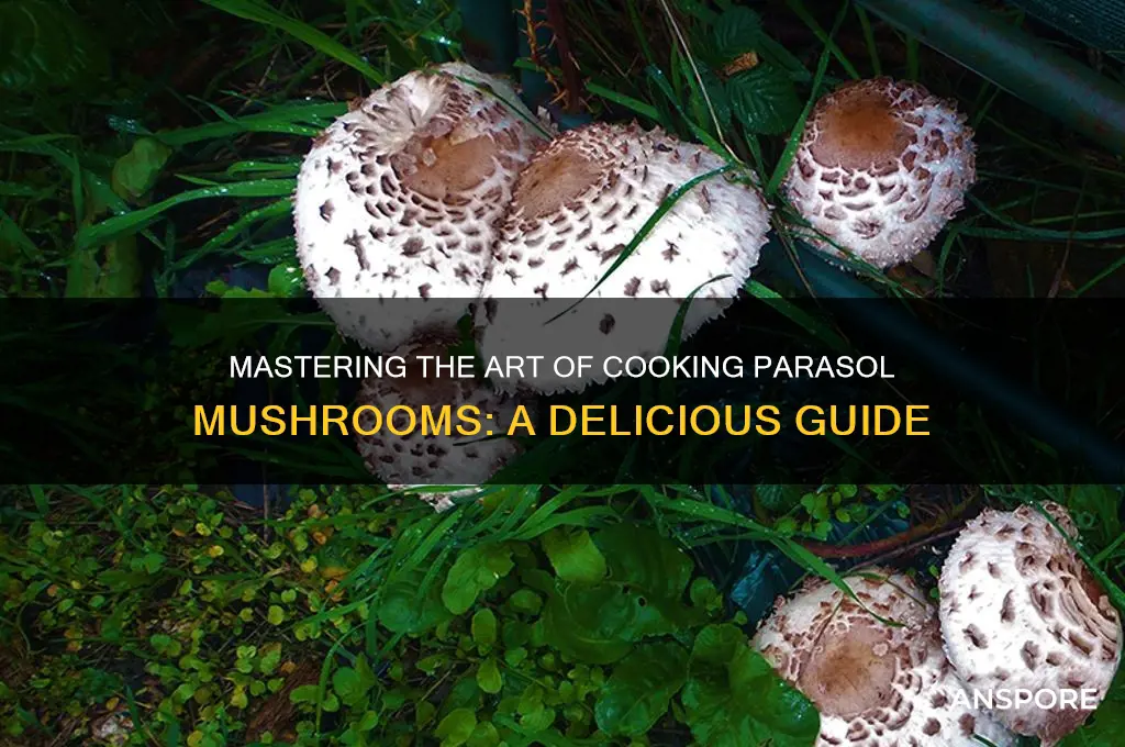 how to cook parasol mushrooms