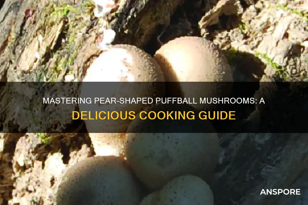 how to cook pear shaped puffball mushroom