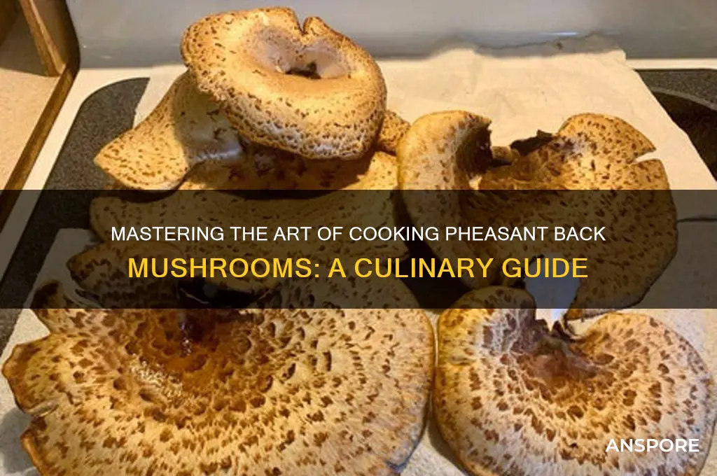 how to cook pheasant back mushroom