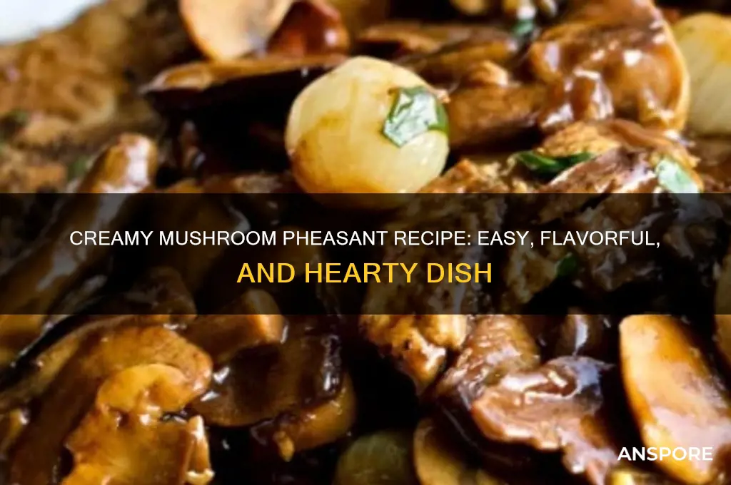 how to cook pheasant with cream of mushroom soup