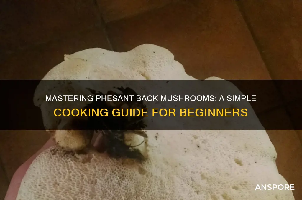how to cook phesant back mushrooms