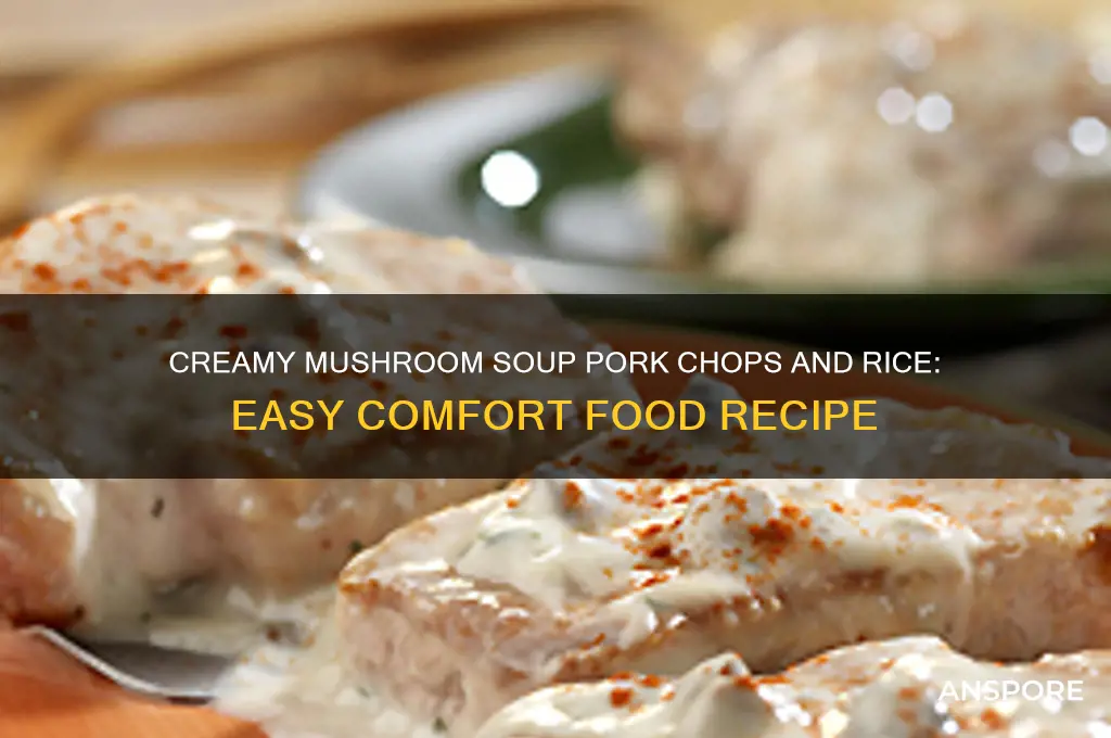 how to cook pork chops and rice in mushroom soup