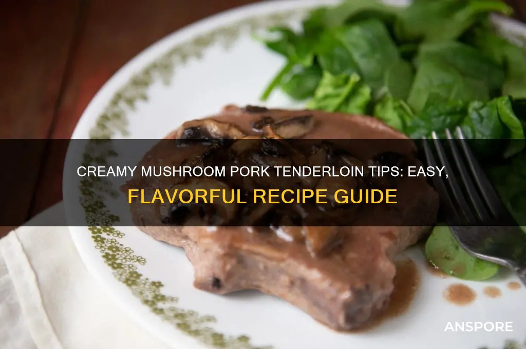 how to cook pork tenderloin tips cream of mushroom soup
