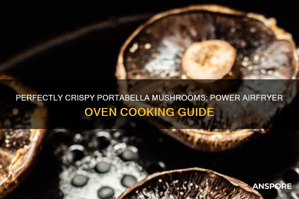 how to cook portabella mushrooms in a power airfryer oven