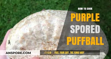 Mastering the Art of Cooking Purple Spored Puffball Mushrooms