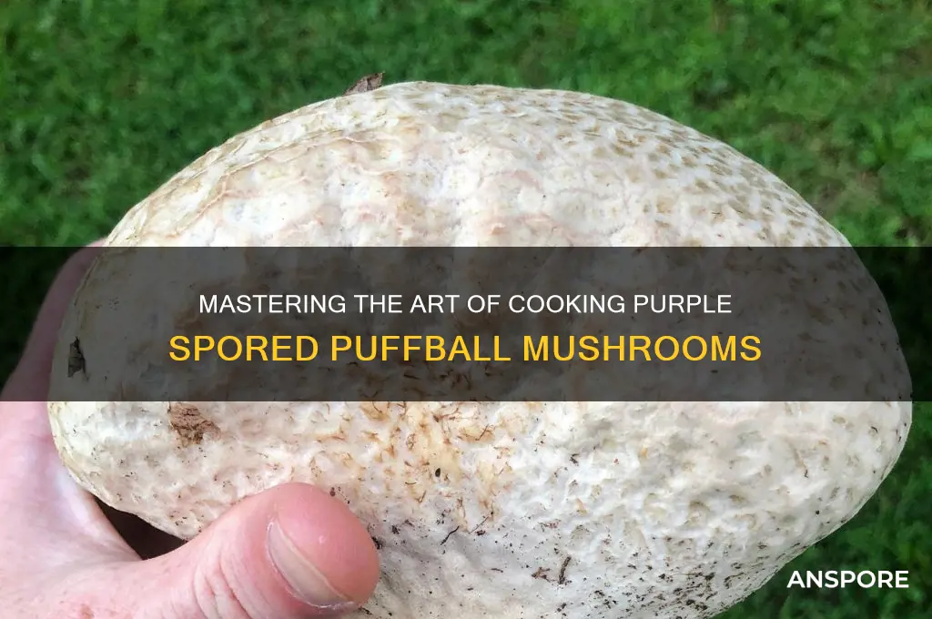 how to cook purple spored puffball