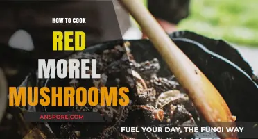 Mastering Red Morel Mushrooms: A Step-by-Step Cooking Guide