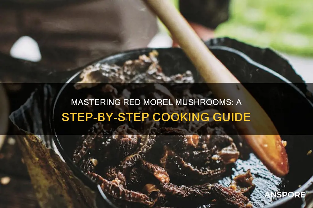 how to cook red morel mushrooms