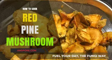 Mastering the Art of Cooking Red Pine Mushrooms: A Delicious Guide