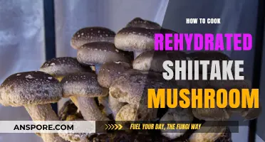 Mastering Rehydrated Shiitake Mushrooms: Simple Cooking Techniques for Rich Flavor