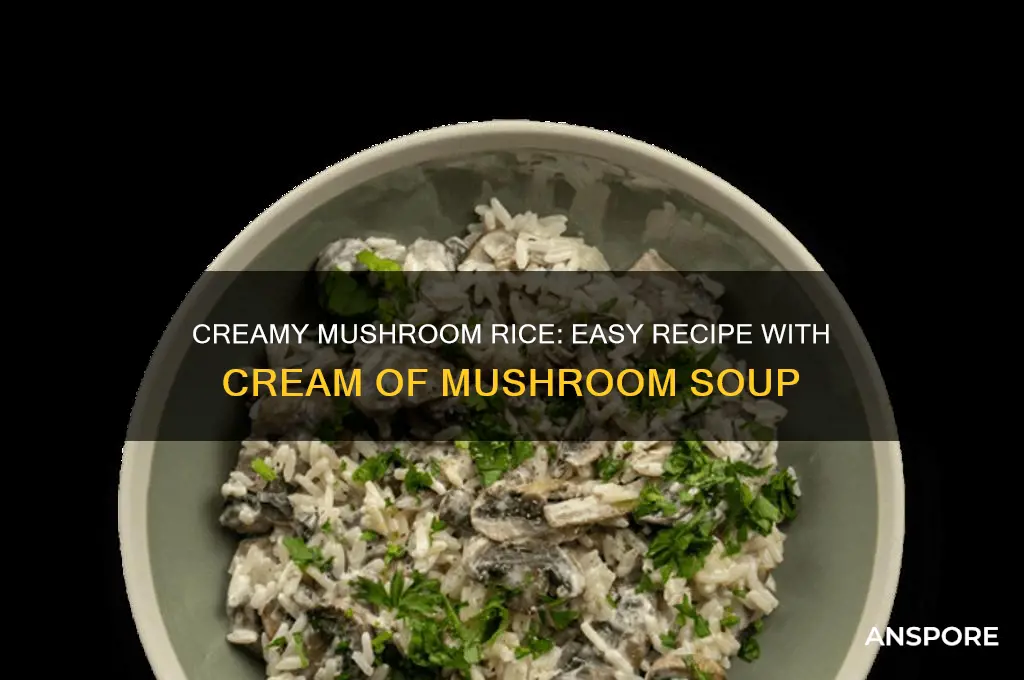how to cook rice in cream of mushroom soup
