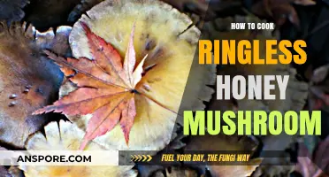 Cooking Ringless Honey Mushrooms: Simple, Flavorful, and Easy Recipe Guide