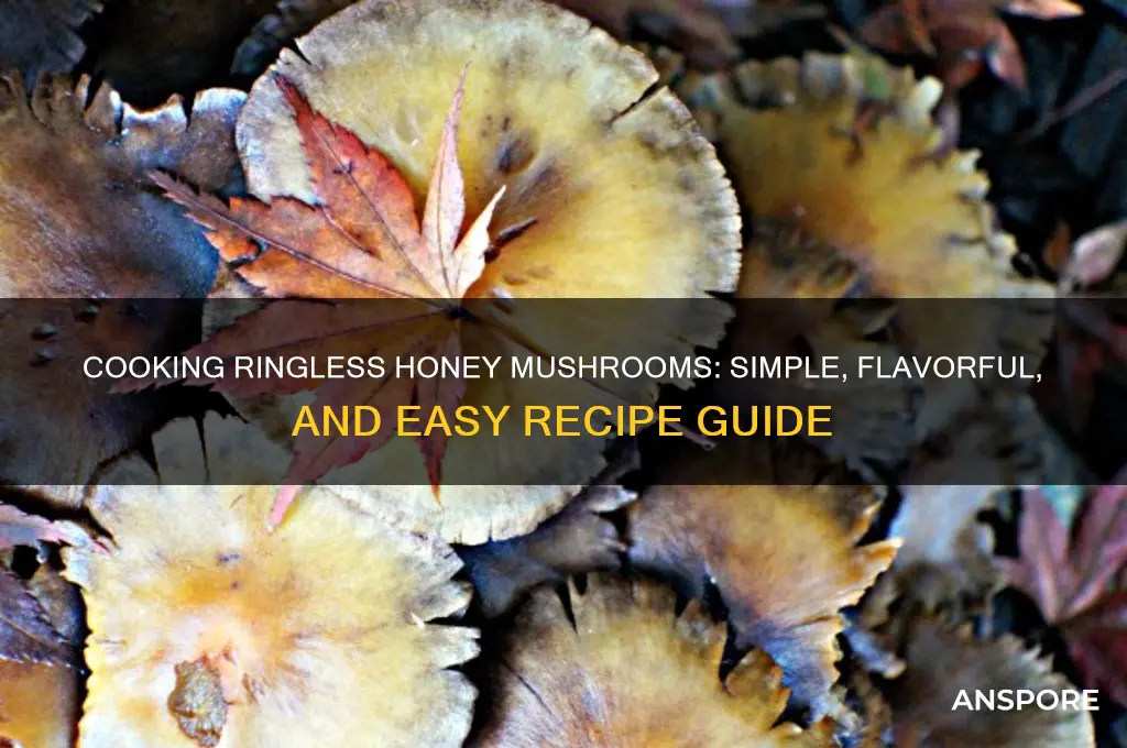 how to cook ringless honey mushroom