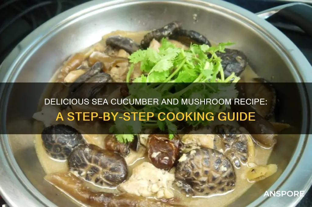 how to cook sea cucumber with mushroom