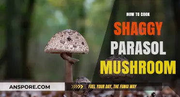Mastering Shaggy Parasol Mushrooms: A Step-by-Step Cooking Guide