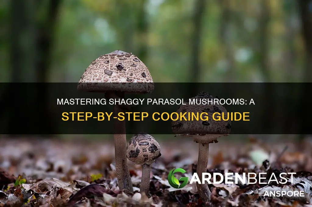 how to cook shaggy parasol mushroom