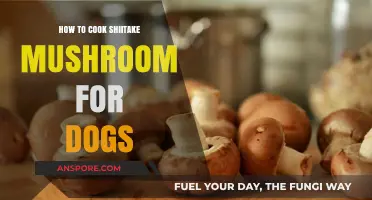 Safe Shiitake Mushroom Cooking Tips for Your Dog's Health