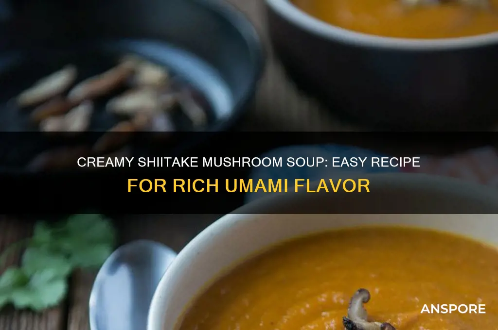 how to cook shiitake mushroom soup
