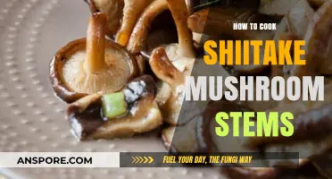 Creative Ways to Cook Shiitake Mushroom Stems: Delicious Recipes